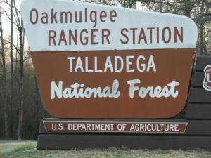 ar127069112587927 Talladega National Forest