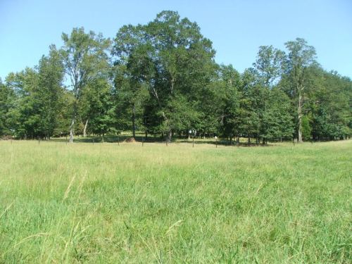 61_ac_fayette_pasture_trees