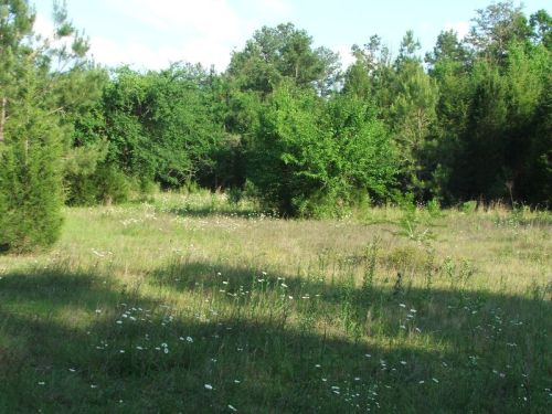 16_acre_williams_pasture_3